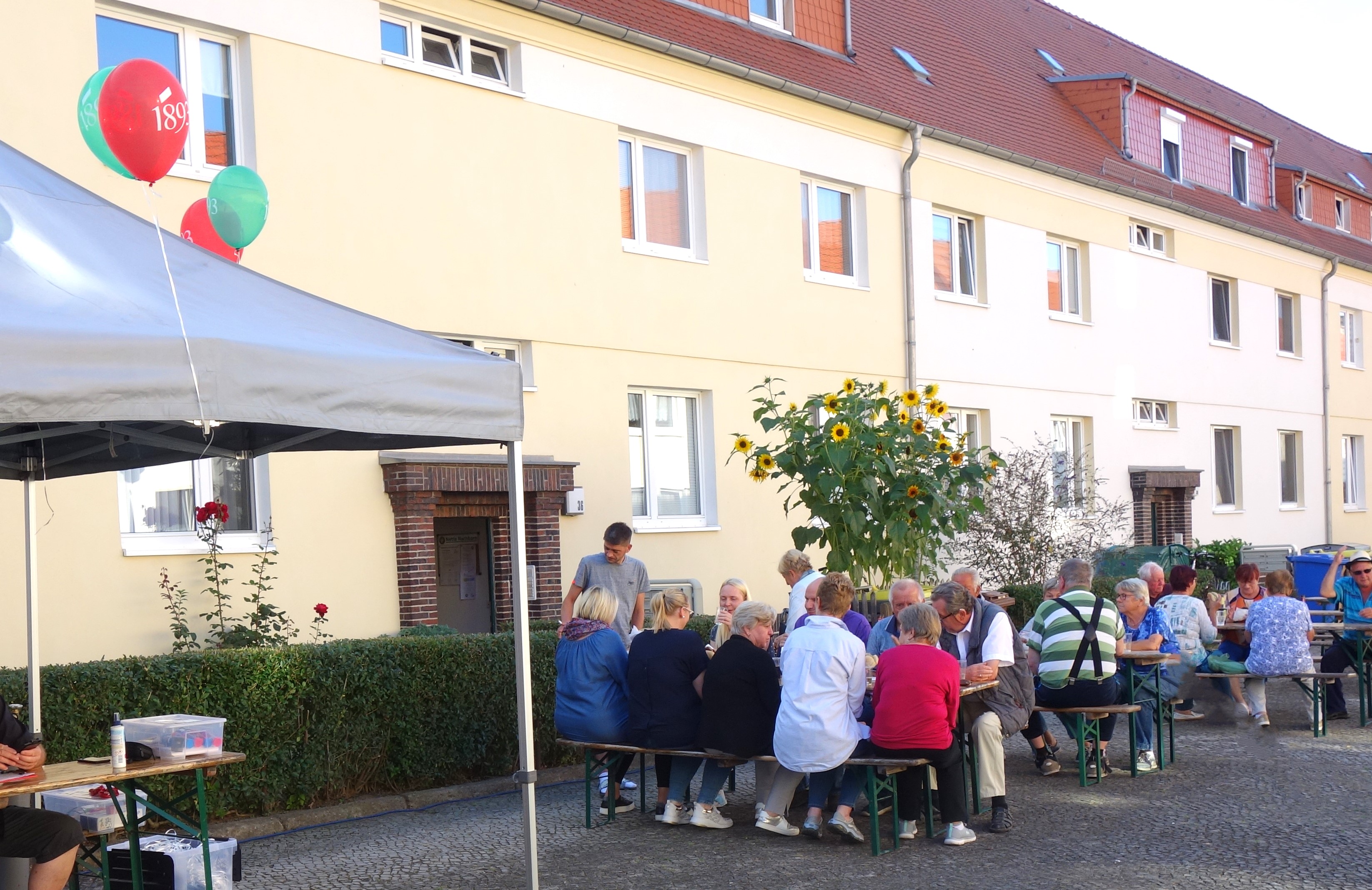 Mehrere Menschen sitzen an Bierbänken unter Bäumen. Im Hintergrund ist ein Wohngebäude und eine große Sonnenblume.