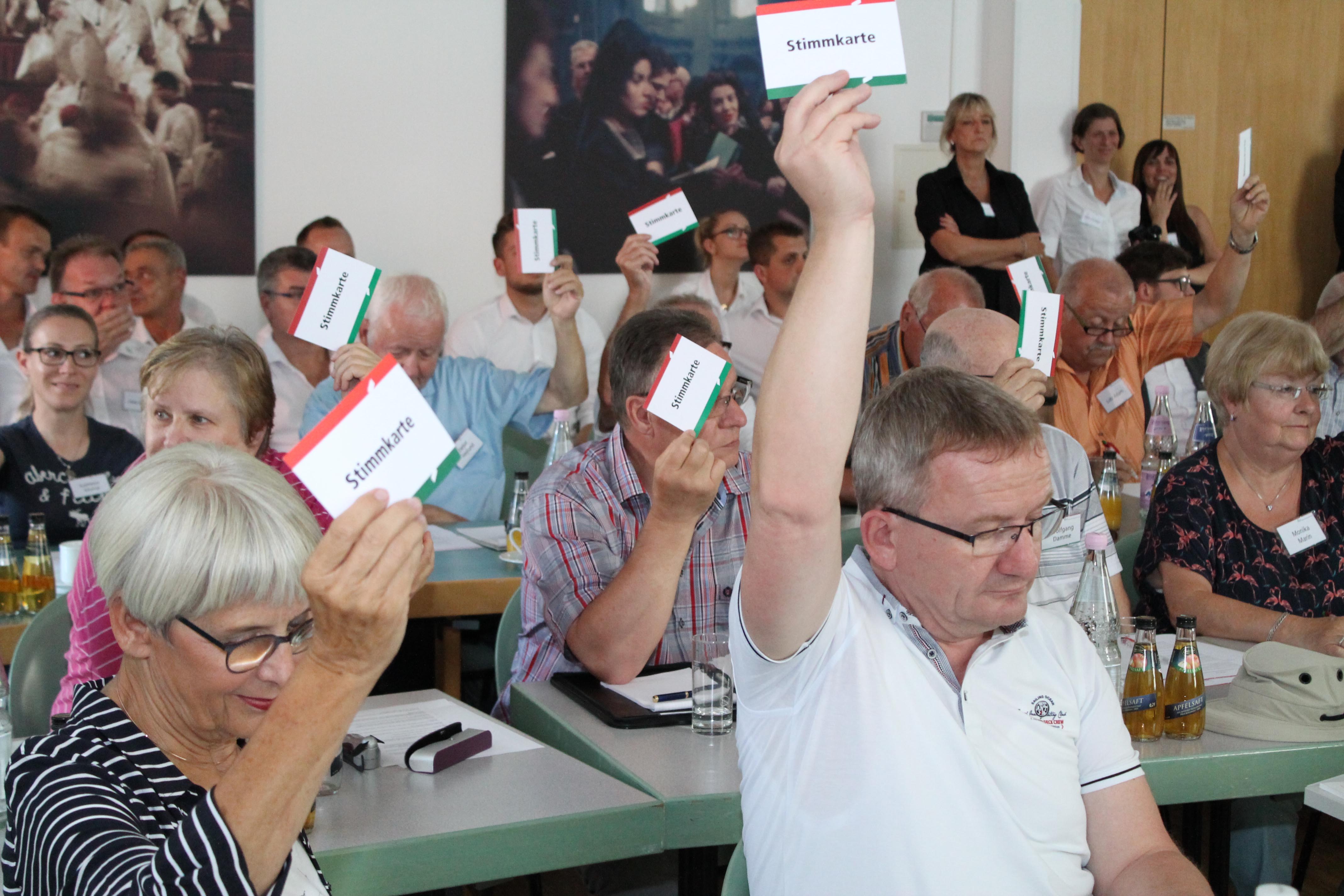 Menschen heben Stimmkarten in die Luft